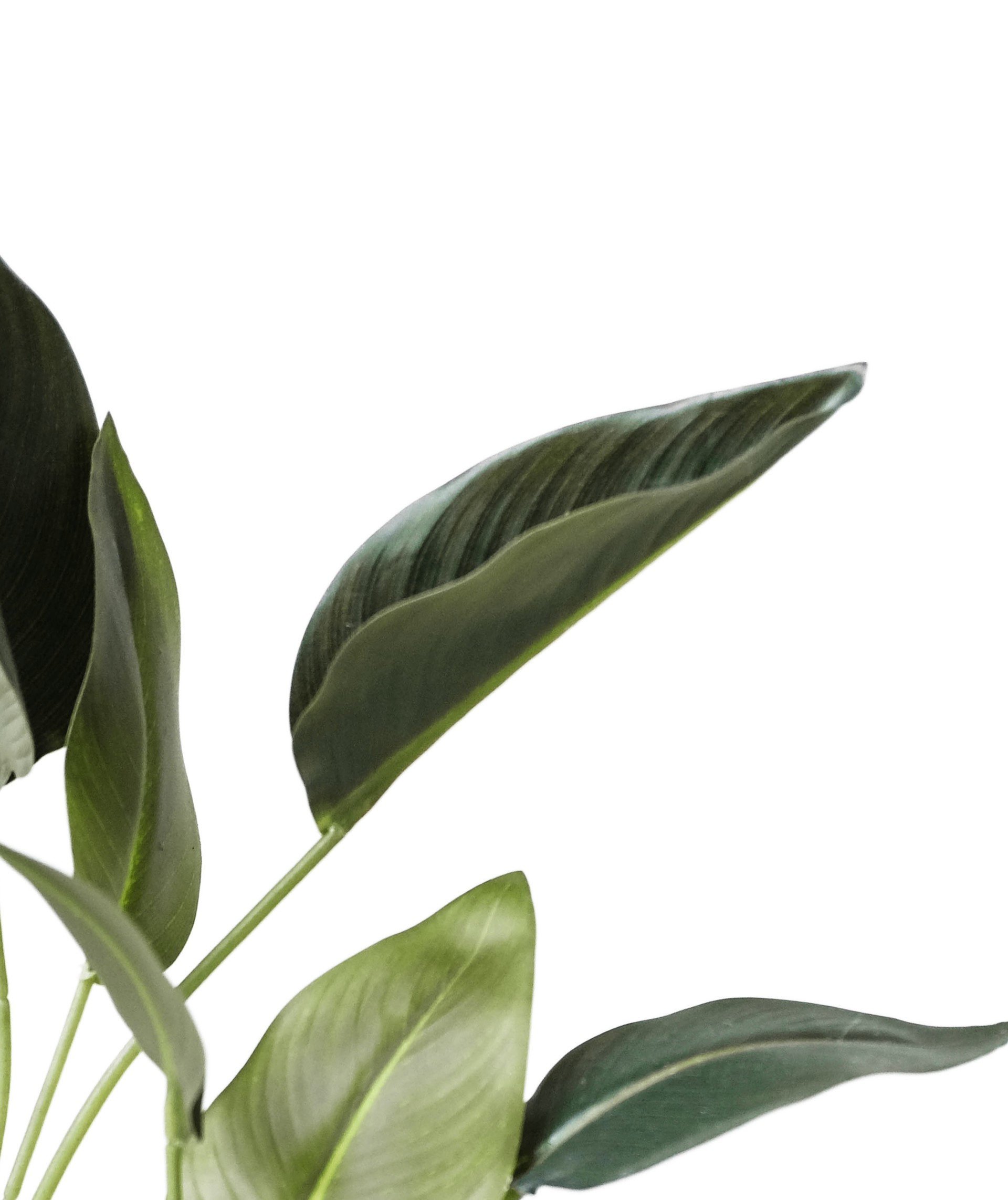 Endodontist in Town and Country, MO Sage Endodontics